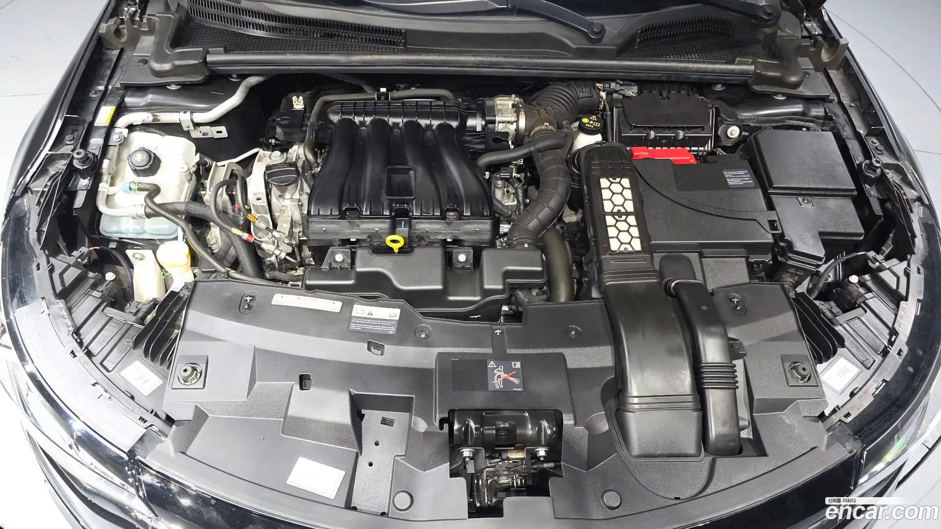 SM6 Renault Korea 2019.6-OUTER-006