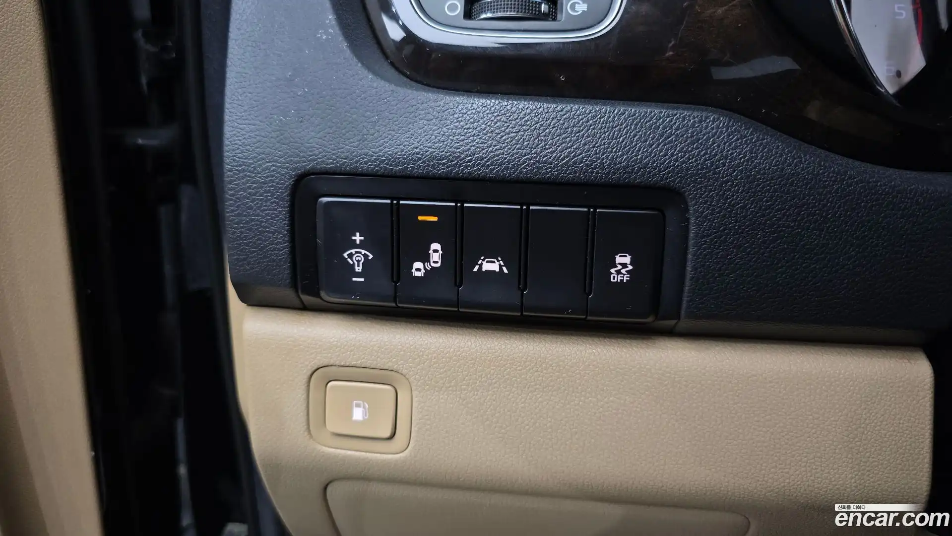 Canival Kia 2019.6-OPTION-022