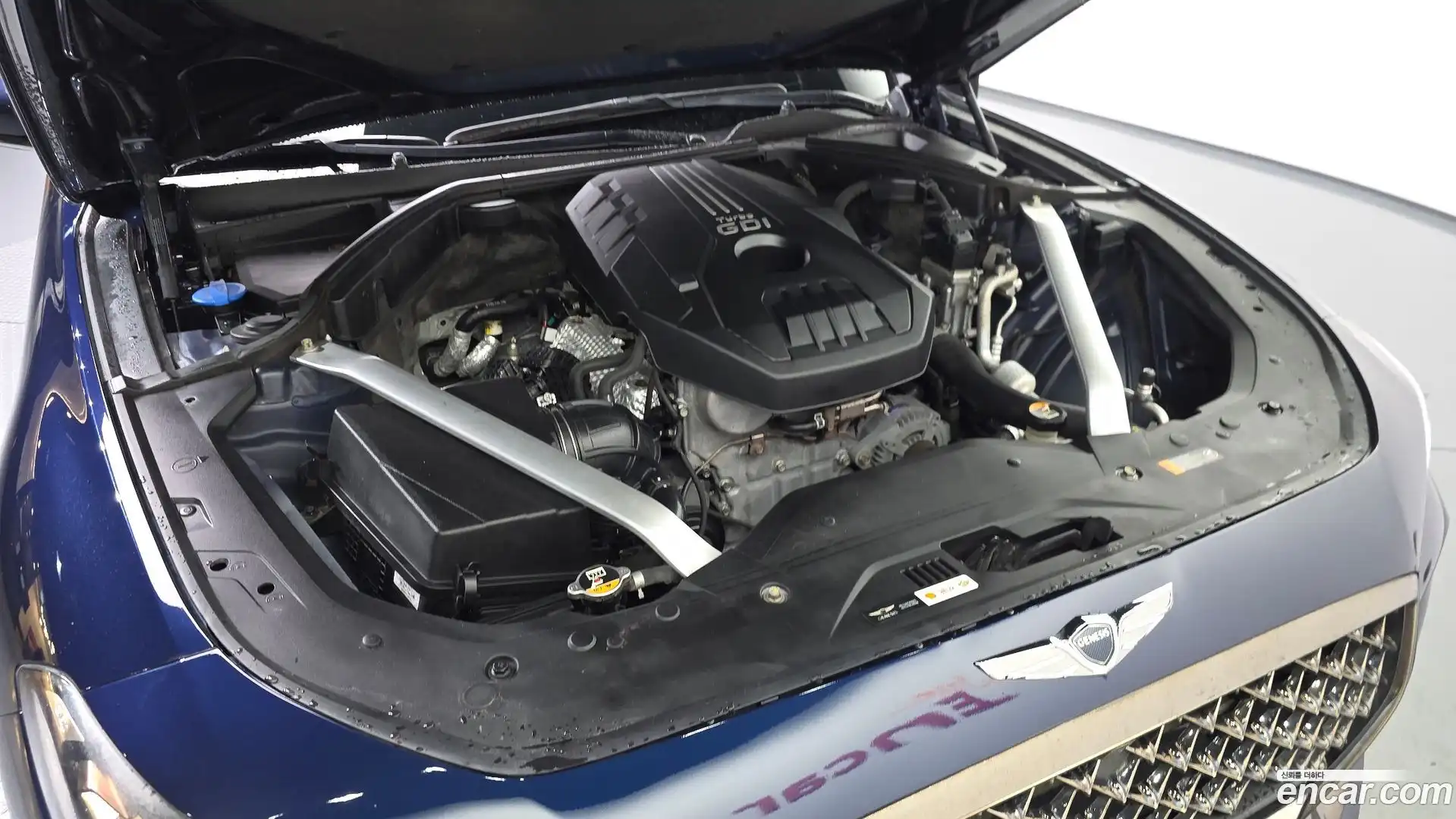 G70 Genesis 2019.6-OUTER-006