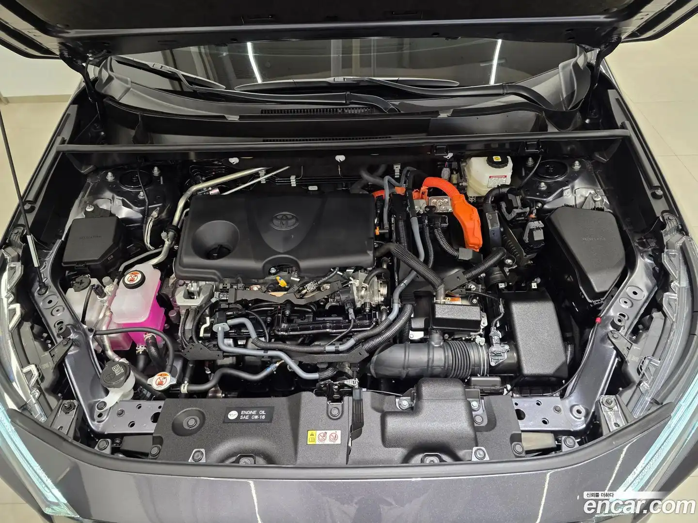 RAV4 Toyota 2025.5-OUTER-006