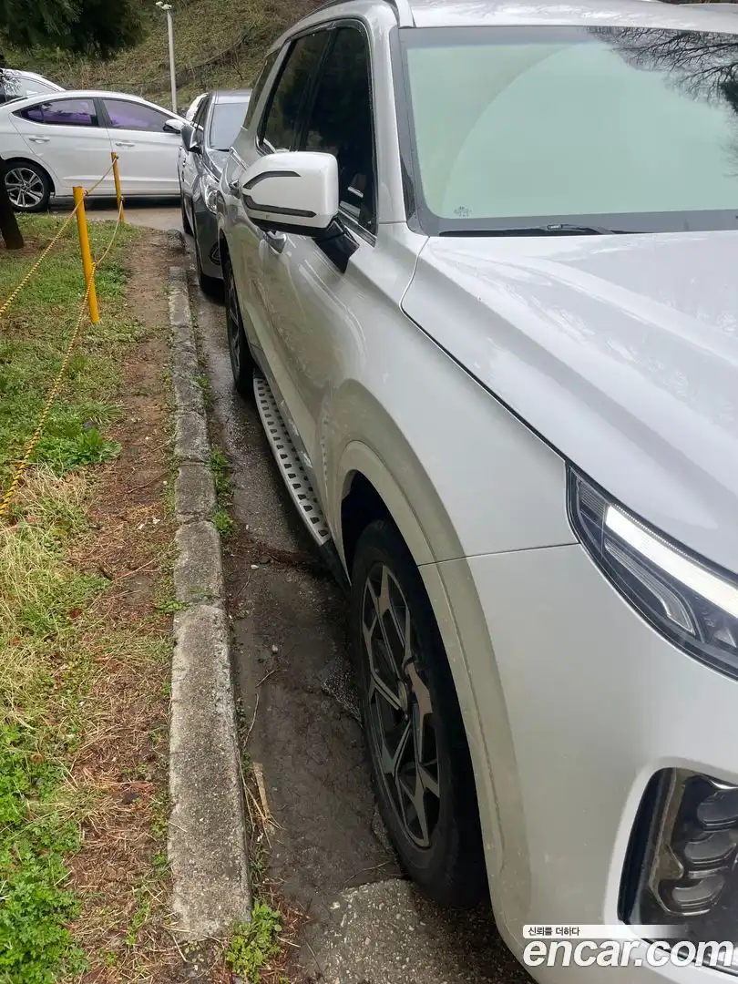 Palisade Hyundai 2020.7-OUTER-004