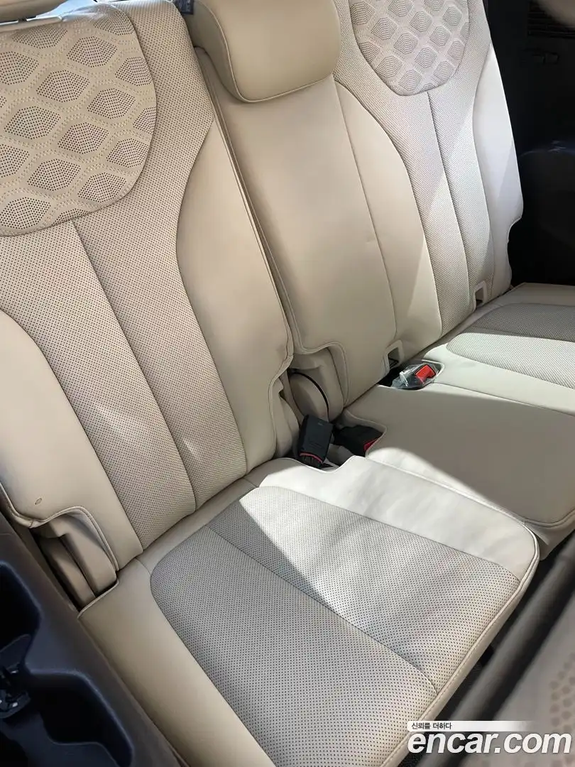 Palisade Hyundai 2020.7-OPTION-023