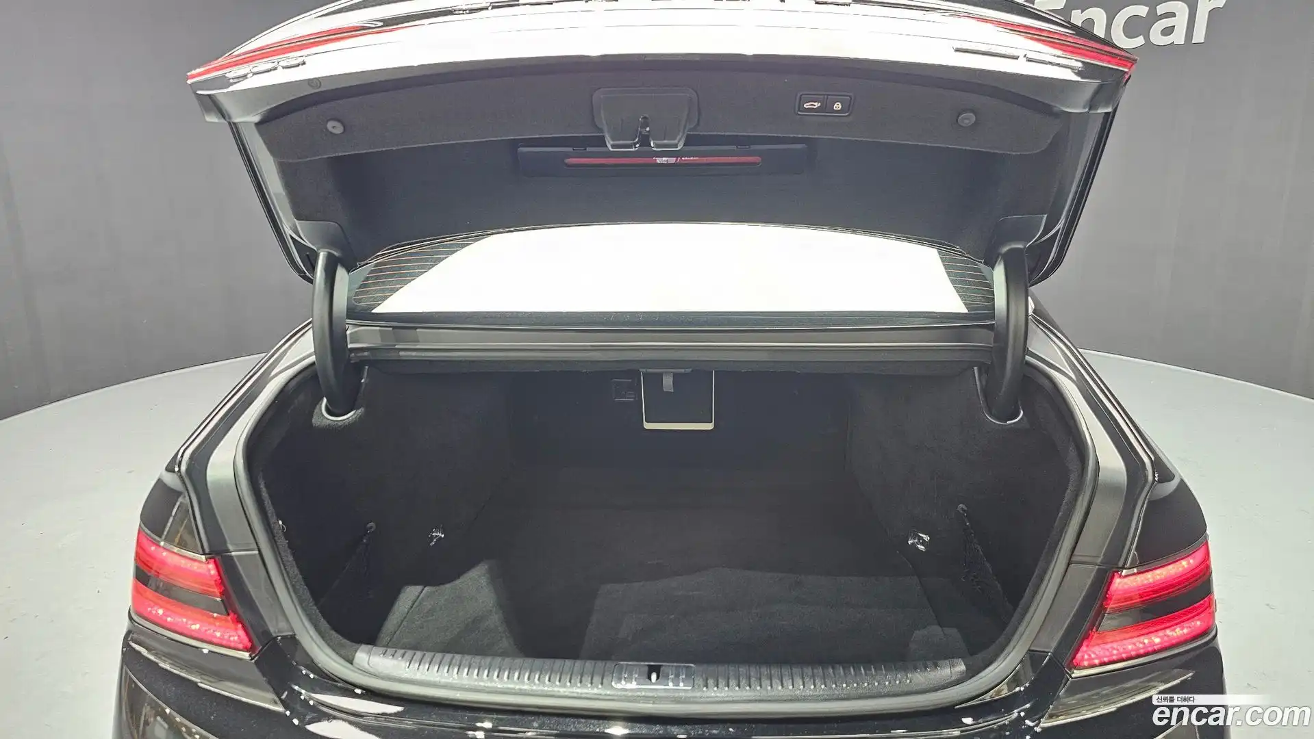 G90 Genesis 2019.4-OPTION-024