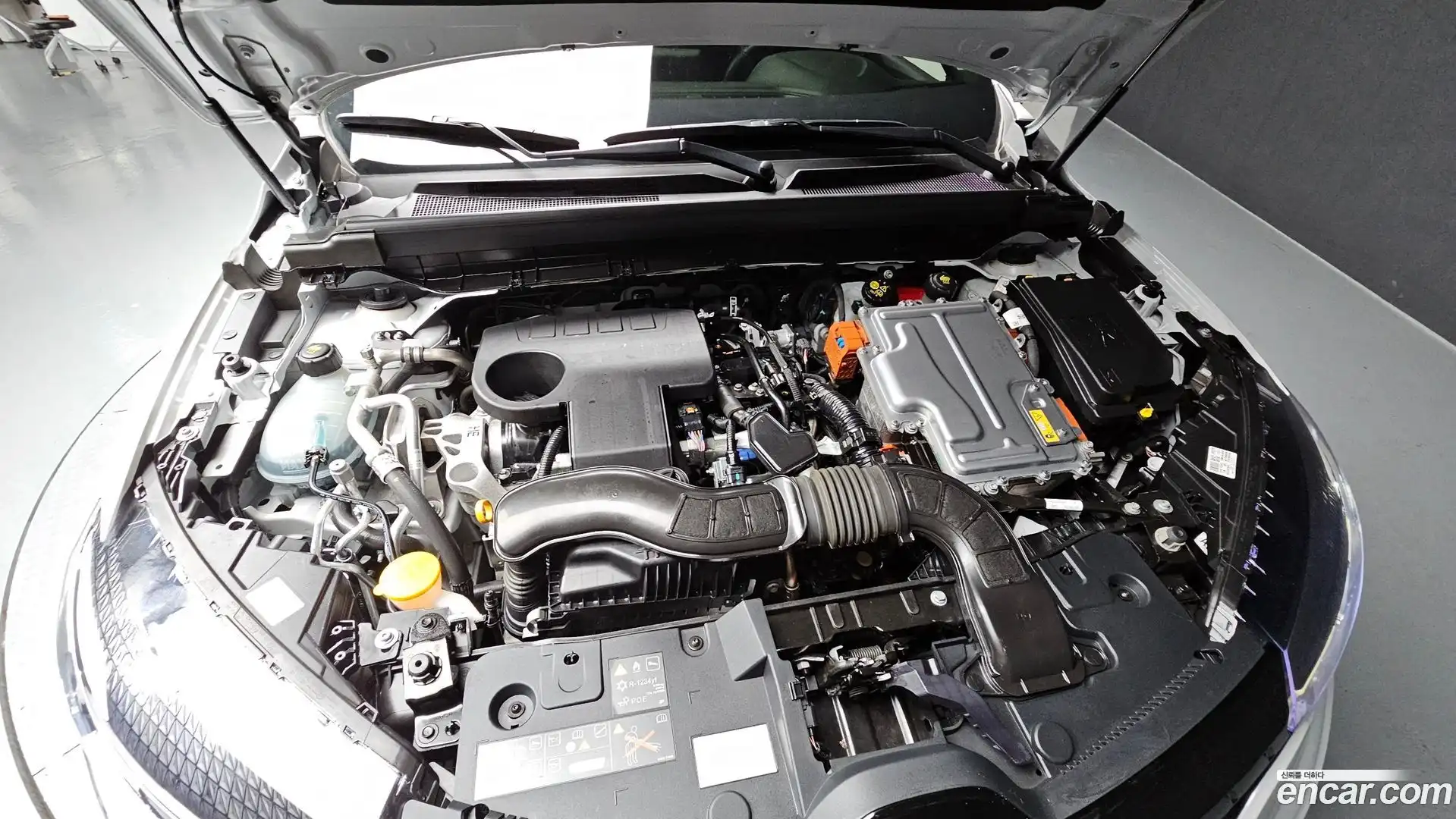 Arkana Renault Korea 2024.5-OUTER-006