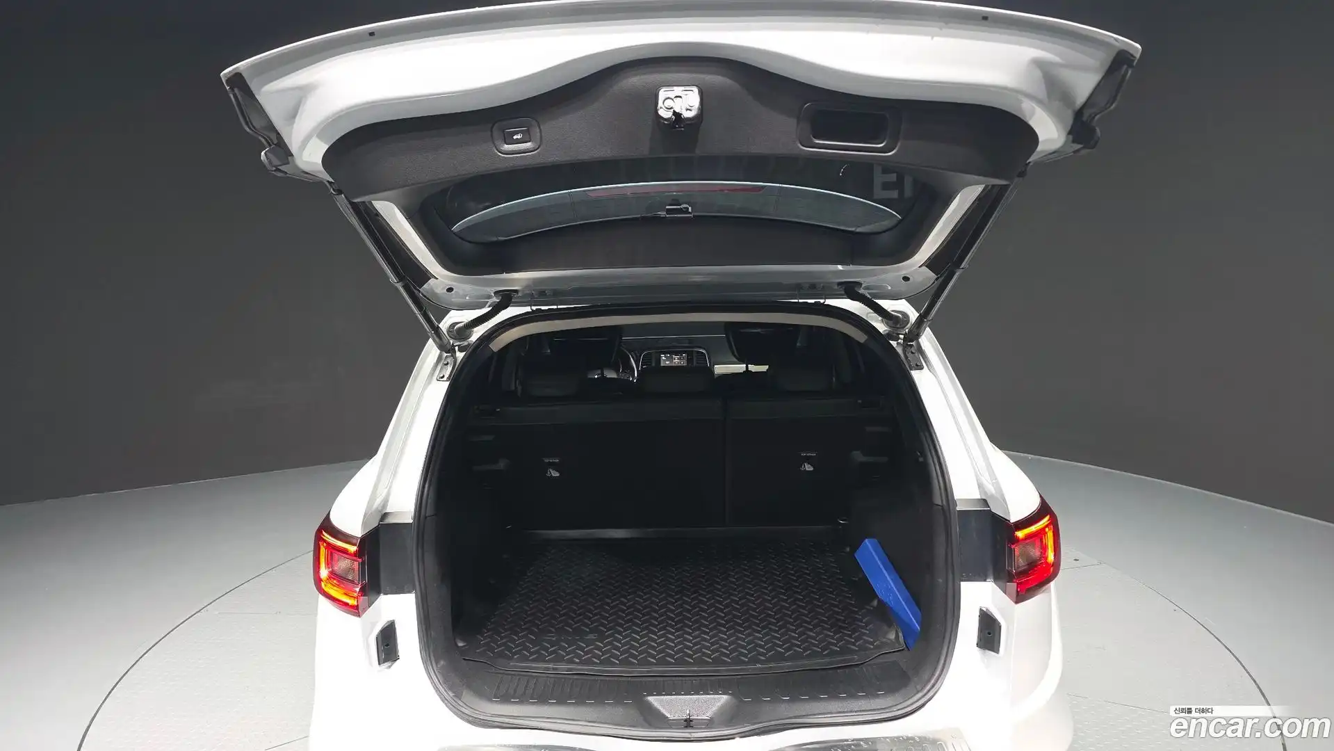 QM6 Renault Korea 2019.6-OPTION-024