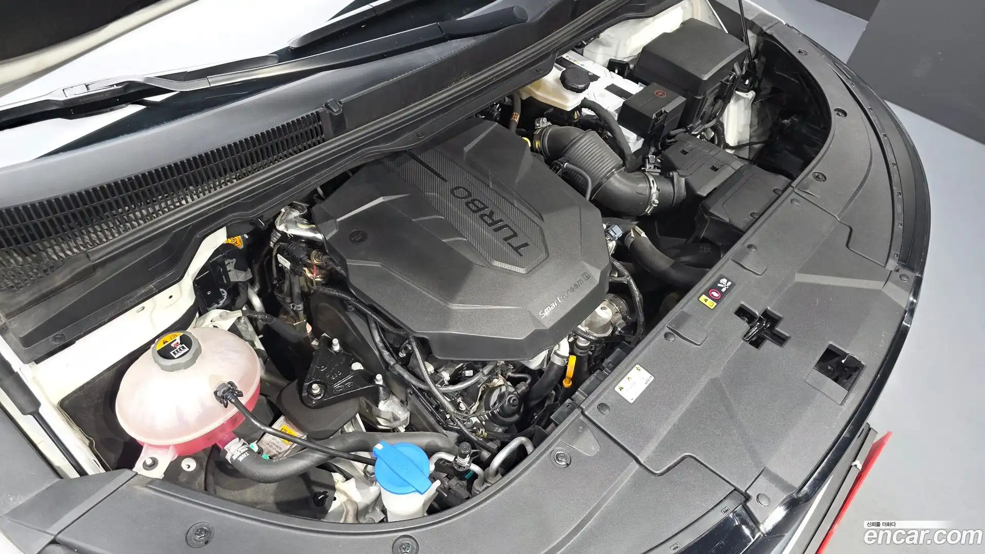 Canival Kia 2024.3-OUTER-006
