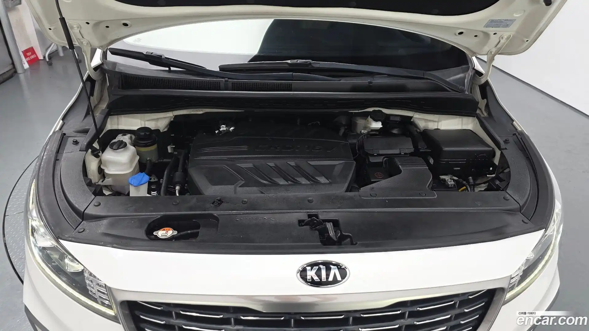 Canival Kia 2019.5-OUTER-006