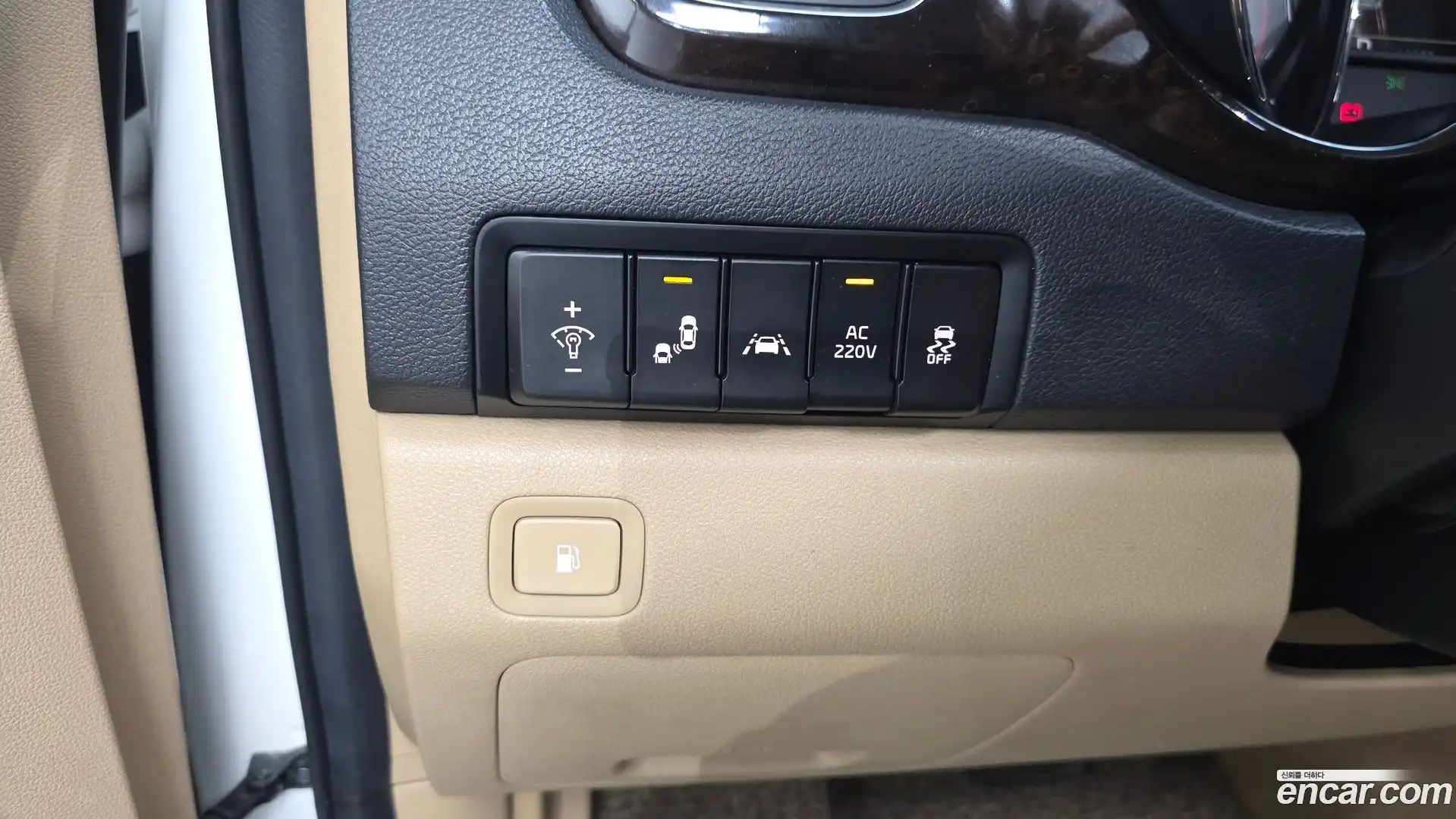 Canival Kia 2019.5-OPTION-020