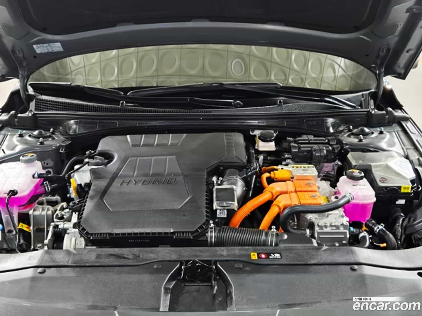 AVANTE Hyundai 2025.5-OUTER-006