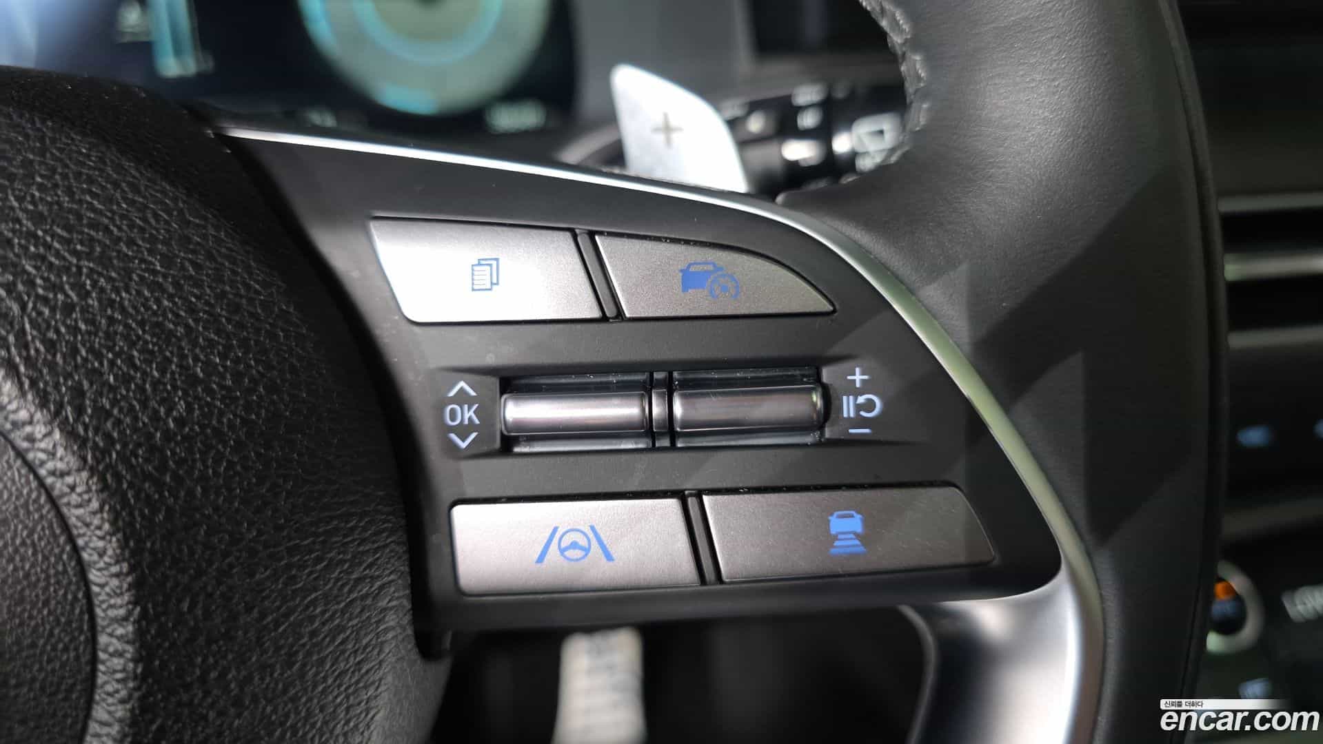 Palisade Hyundai 2024.6-OPTION-024