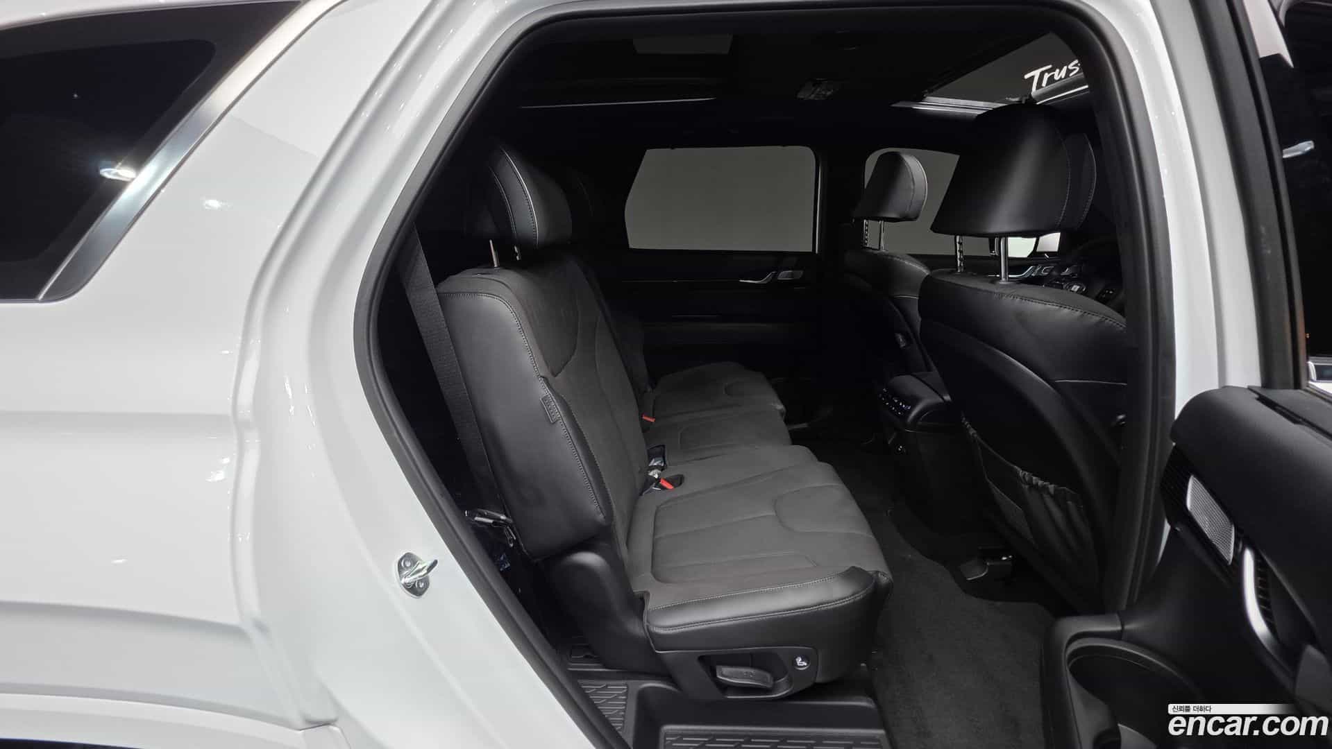 Palisade Hyundai 2024.6-OPTION-050