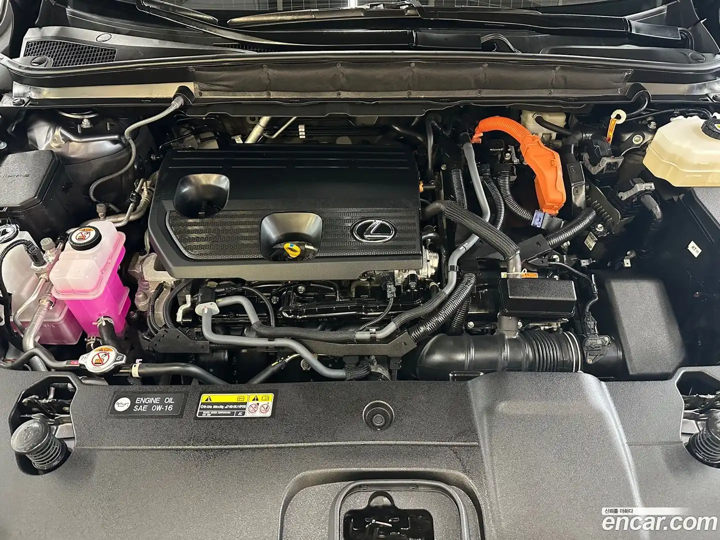 RX Lexus 2024.7-OUTER-006