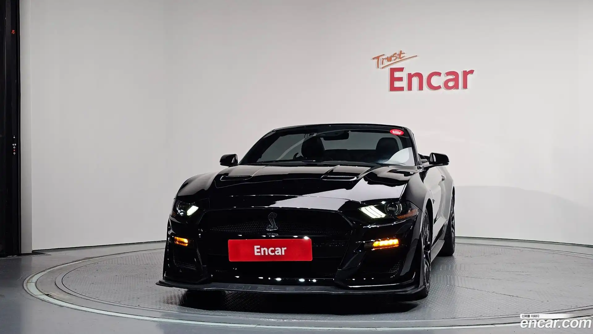 Mustang Ford 2019.9-OUTER-003