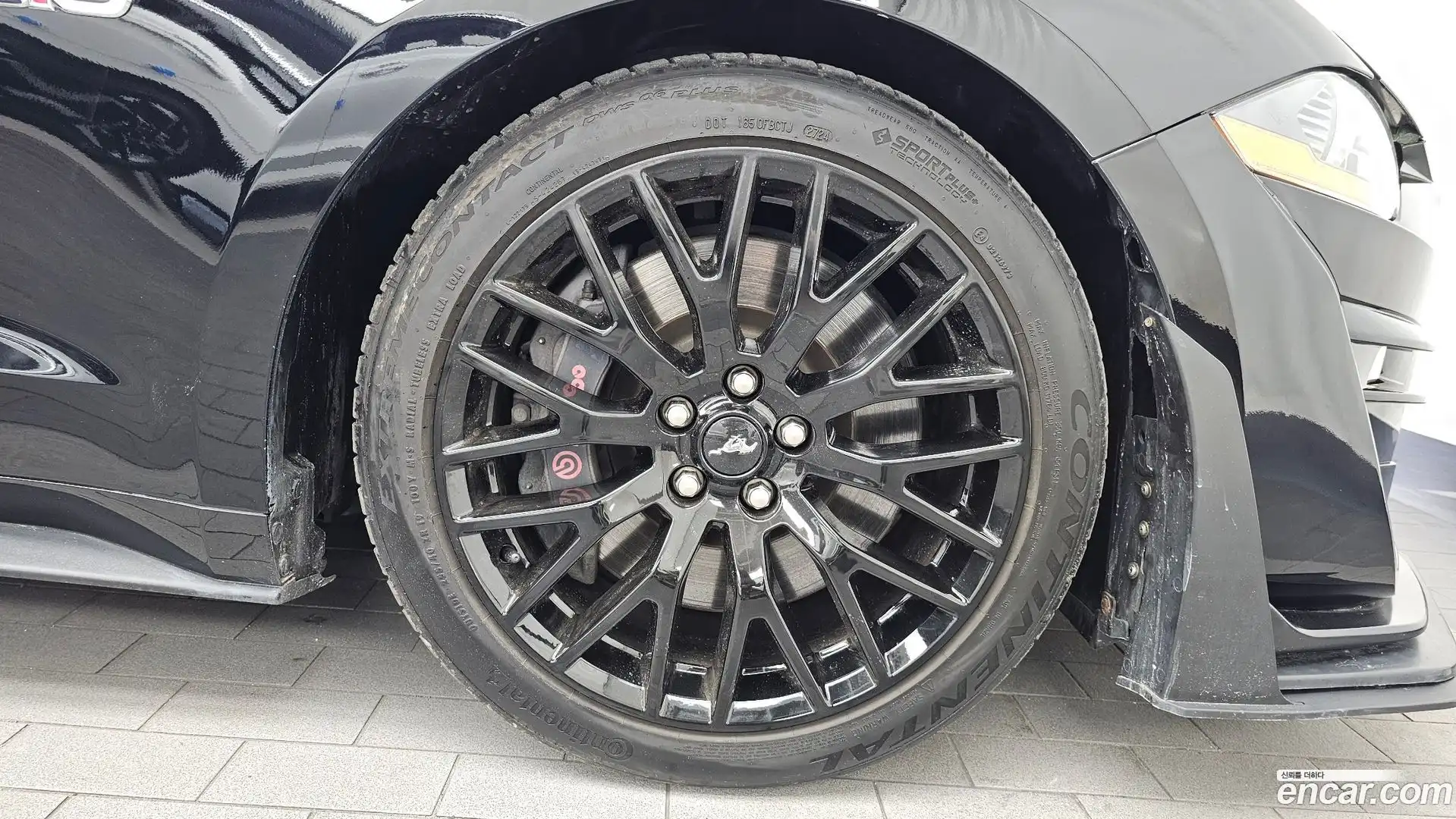 Mustang Ford 2019.9-OUTER-031