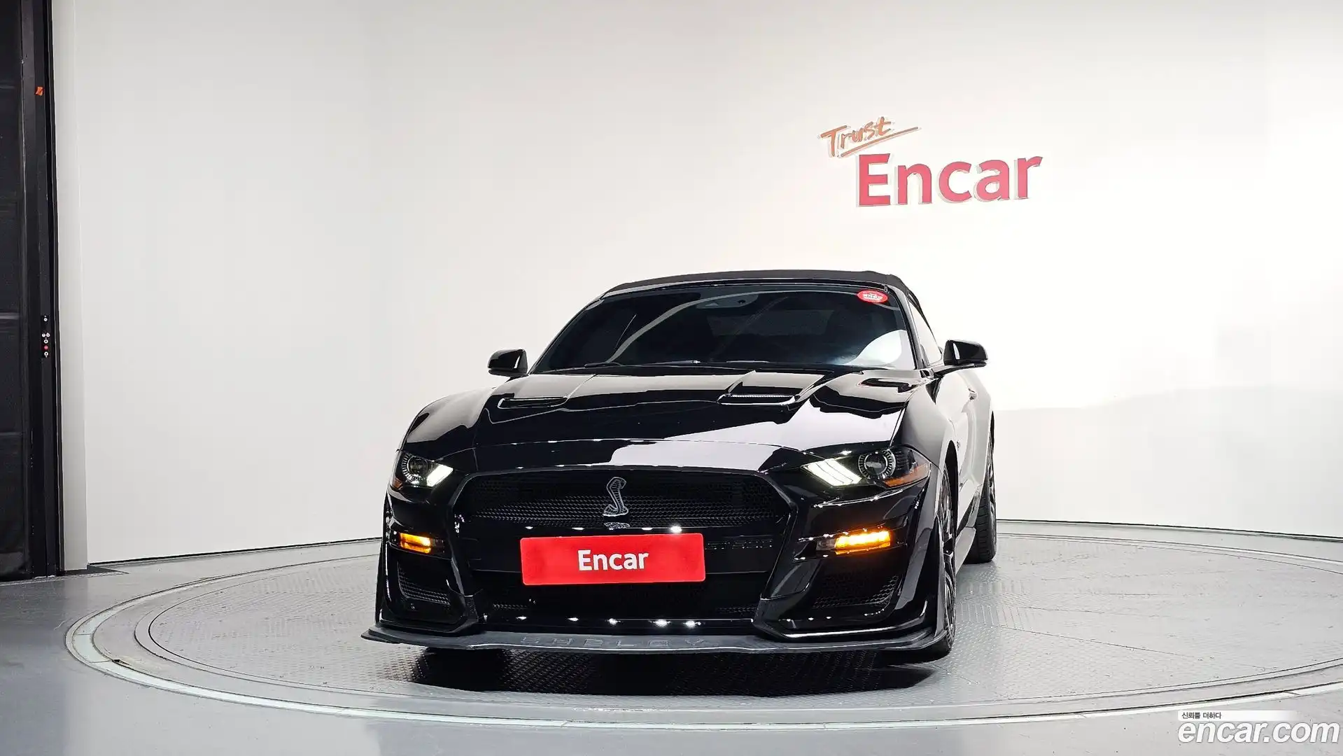 Mustang Ford 2019.9-OPTION-049