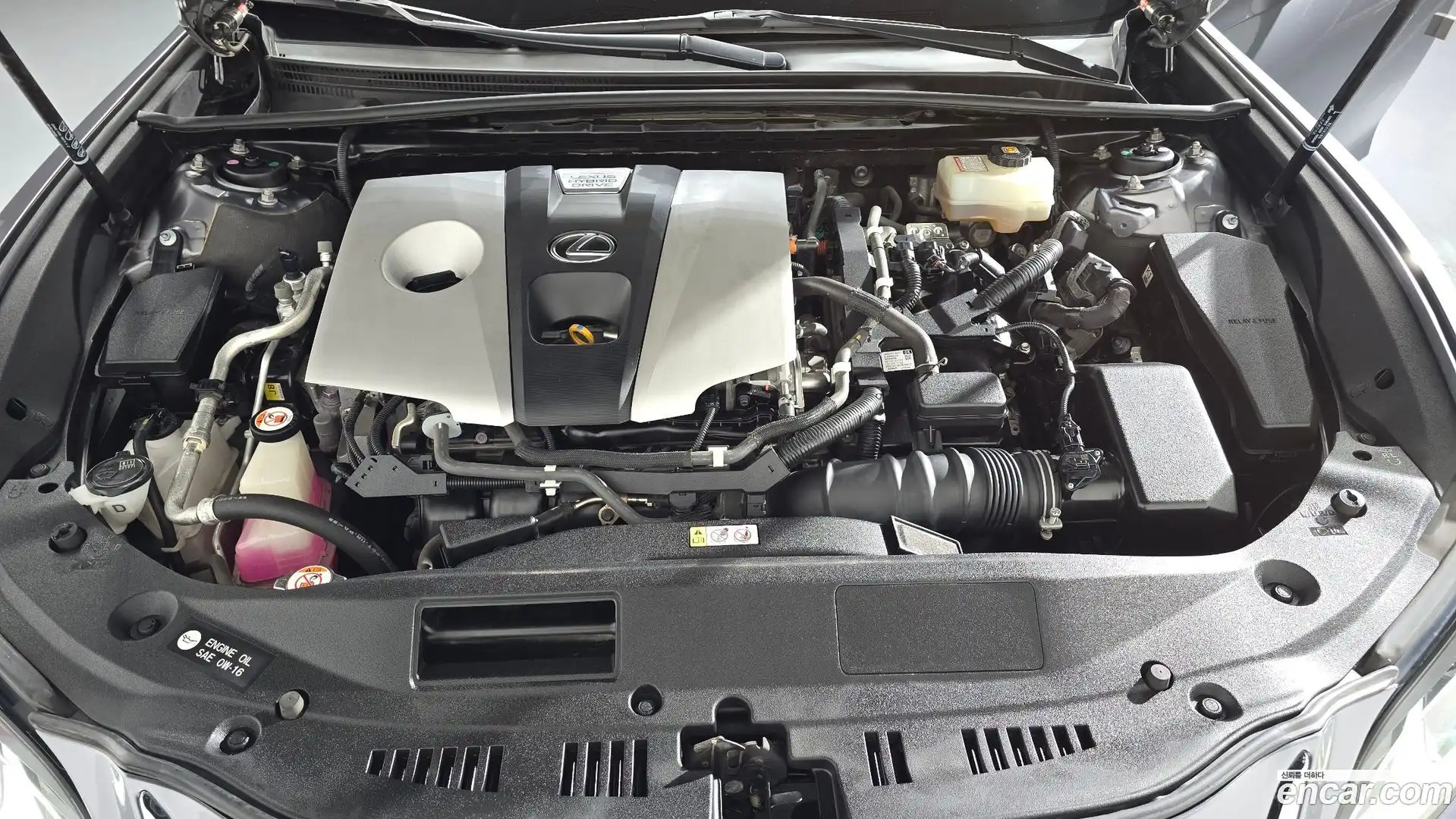 ES Lexus 2019.4-OUTER-006