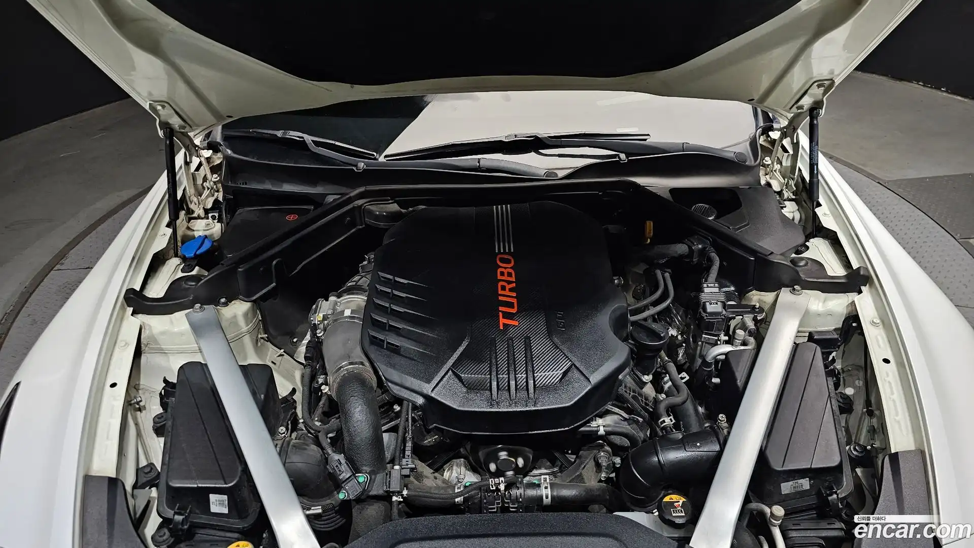 Stinger Kia 2018.9-OUTER-006