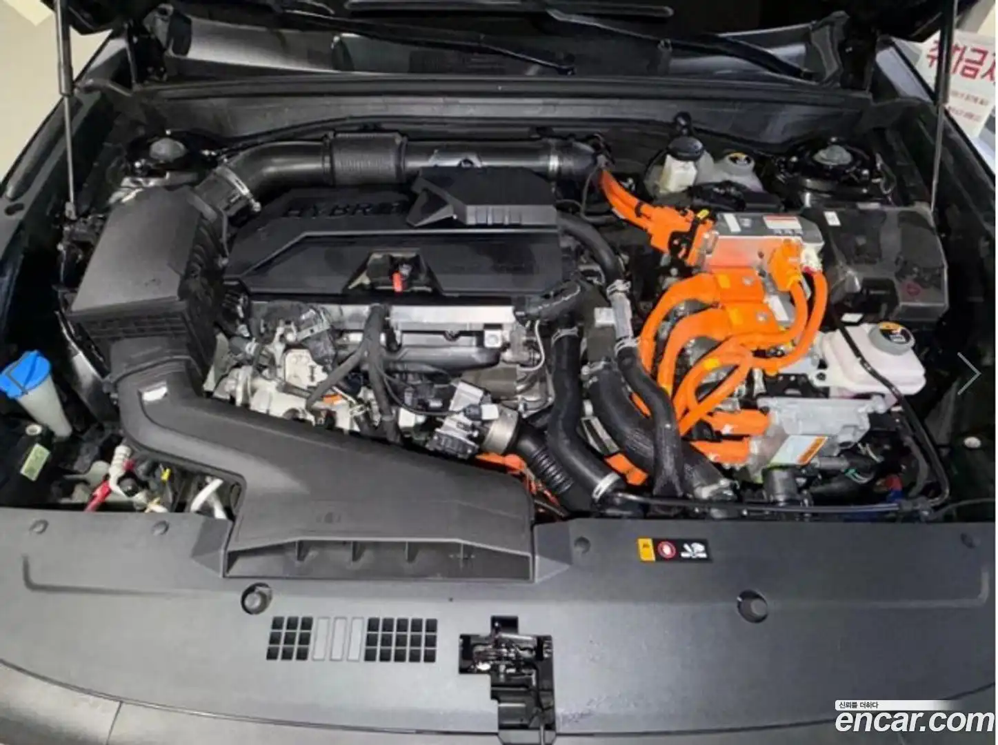 K8 Kia 2025.3-OPTION-023