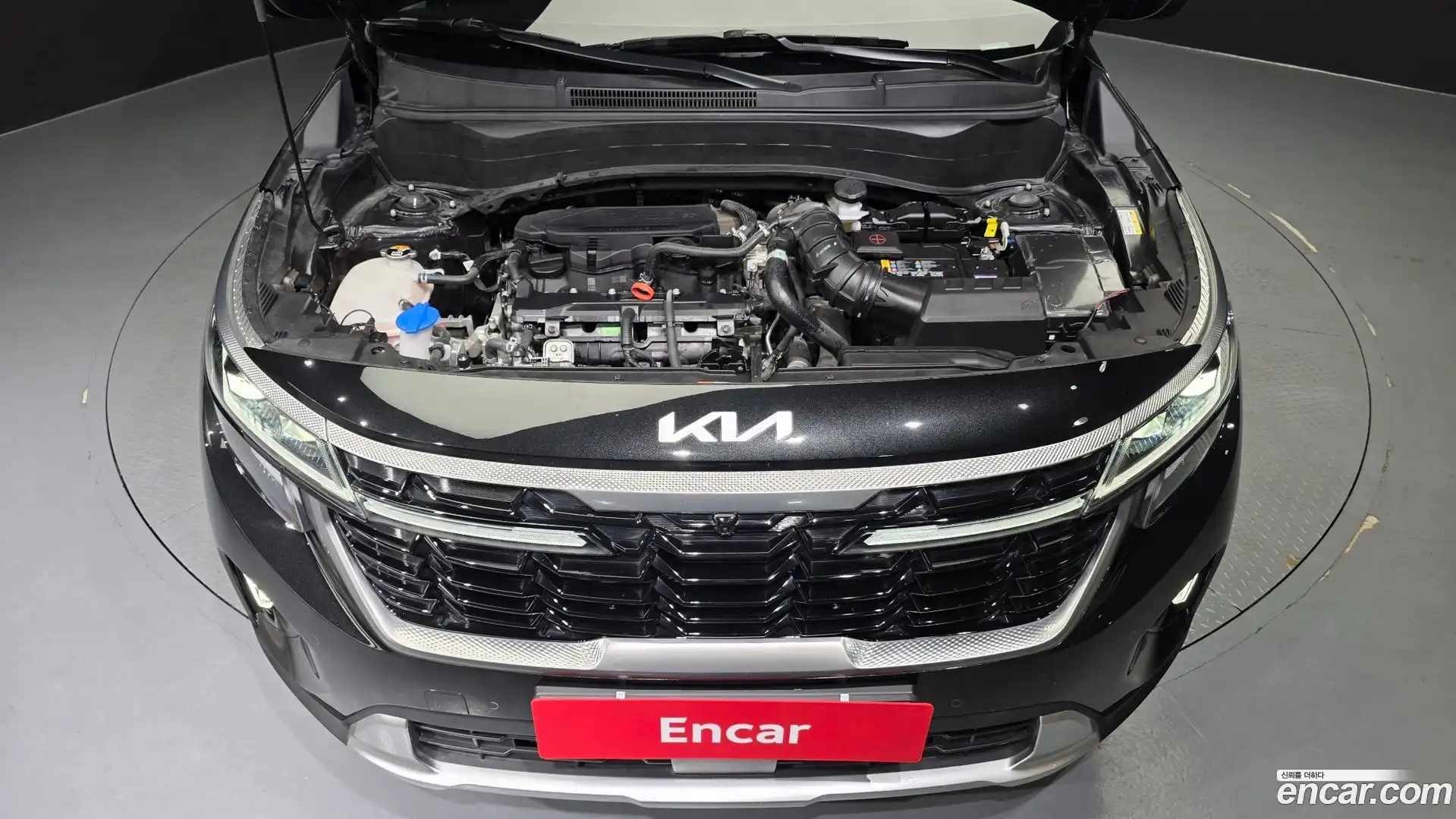 Seltos Kia 2024.2-OUTER-006