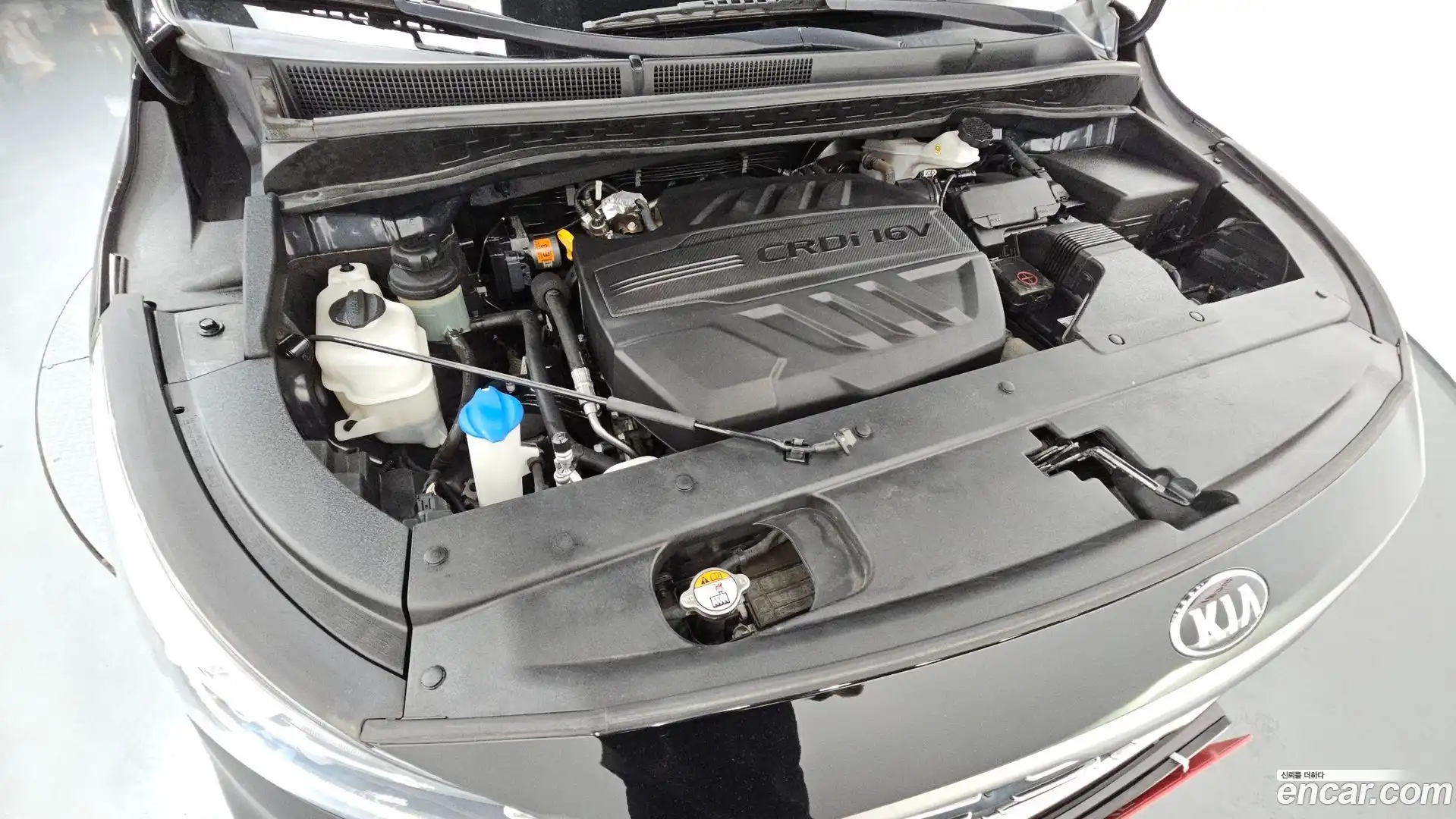 Canival Kia 2019.9-OUTER-006