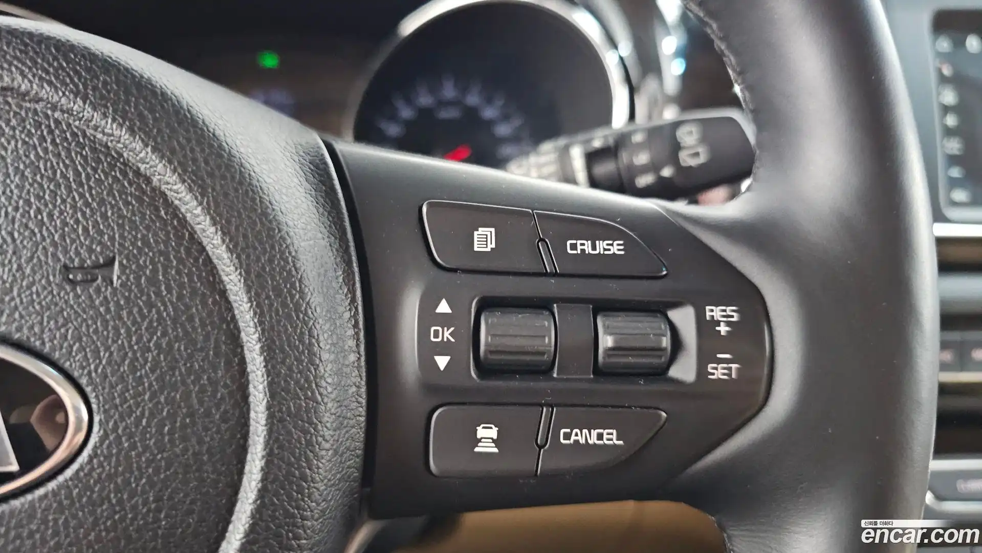 Canival Kia 2019.9-OPTION-021