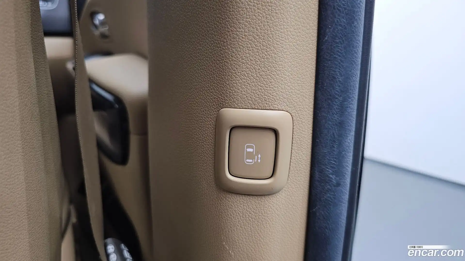 Canival Kia 2019.9-OPTION-023