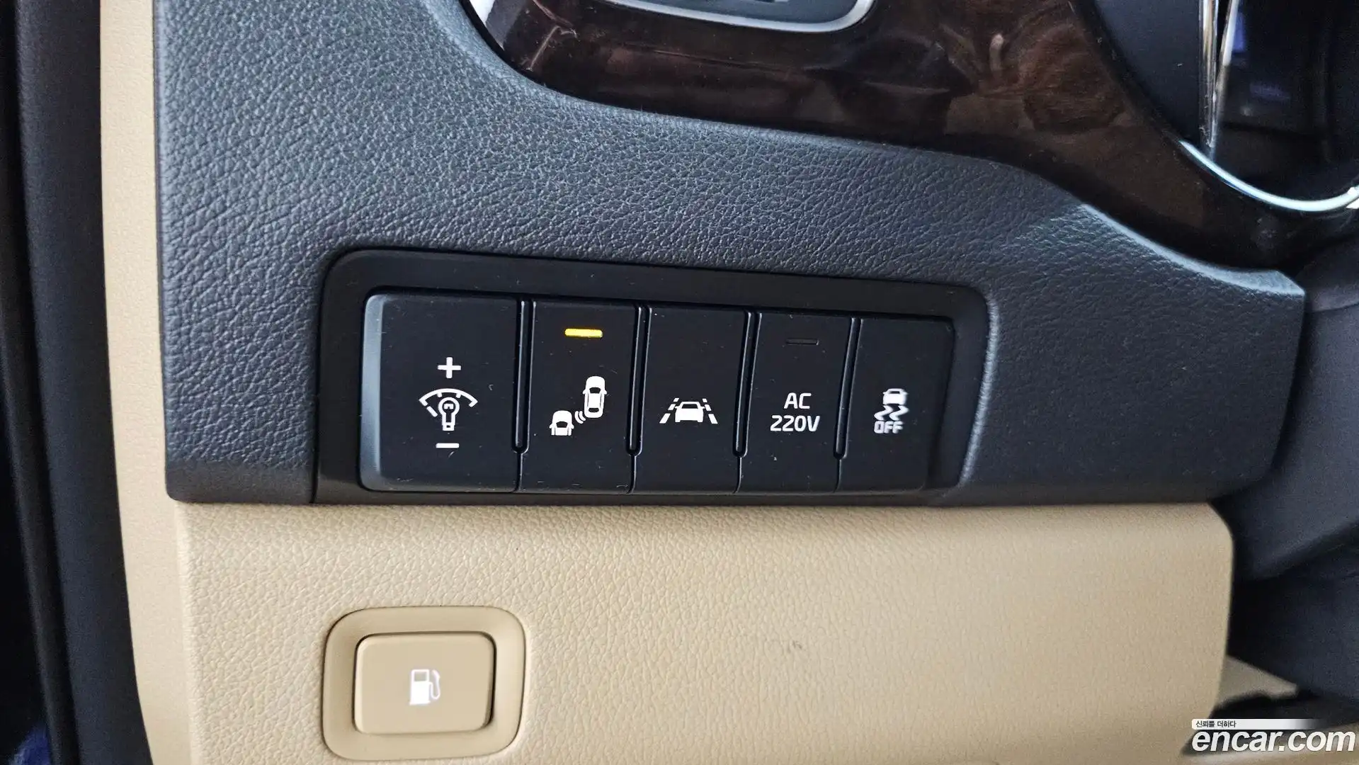Canival Kia 2019.9-OPTION-047