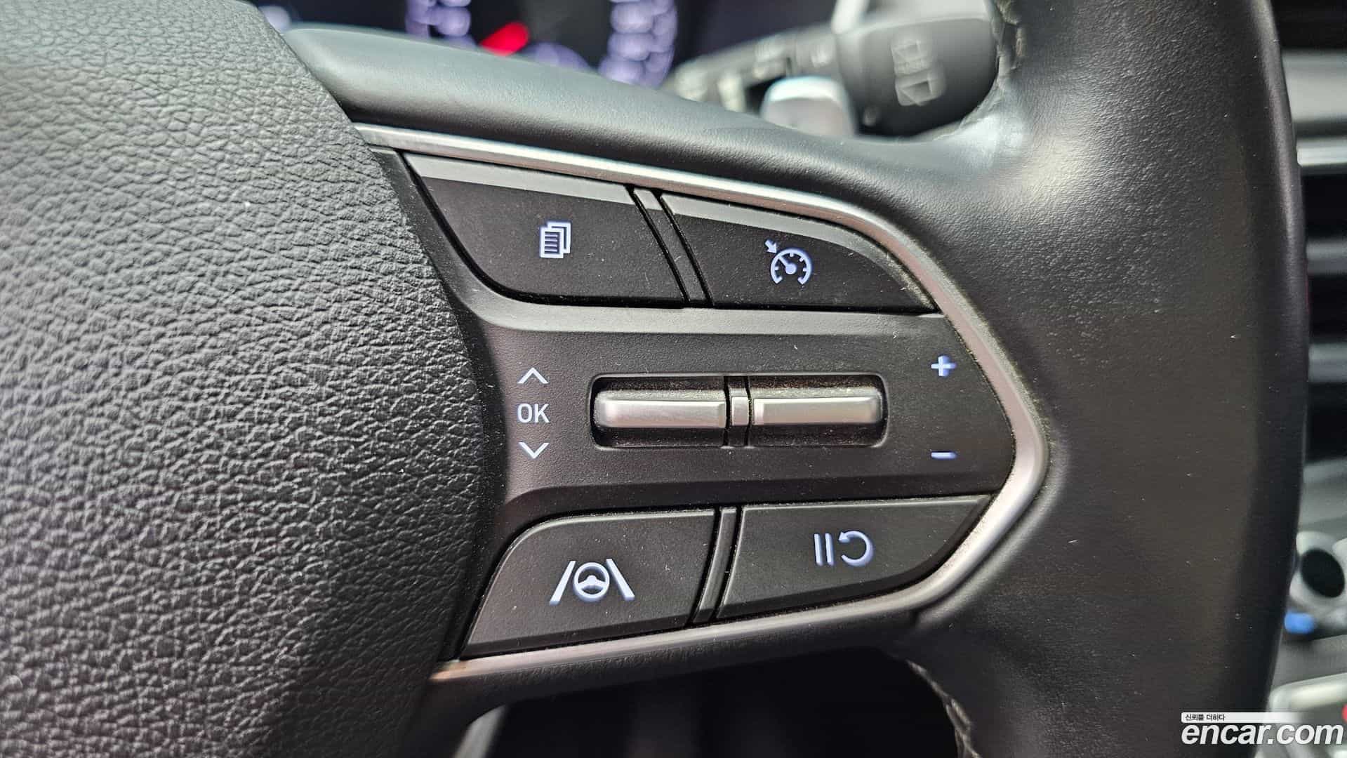 Santafe Hyundai 2021.6-OPTION-022