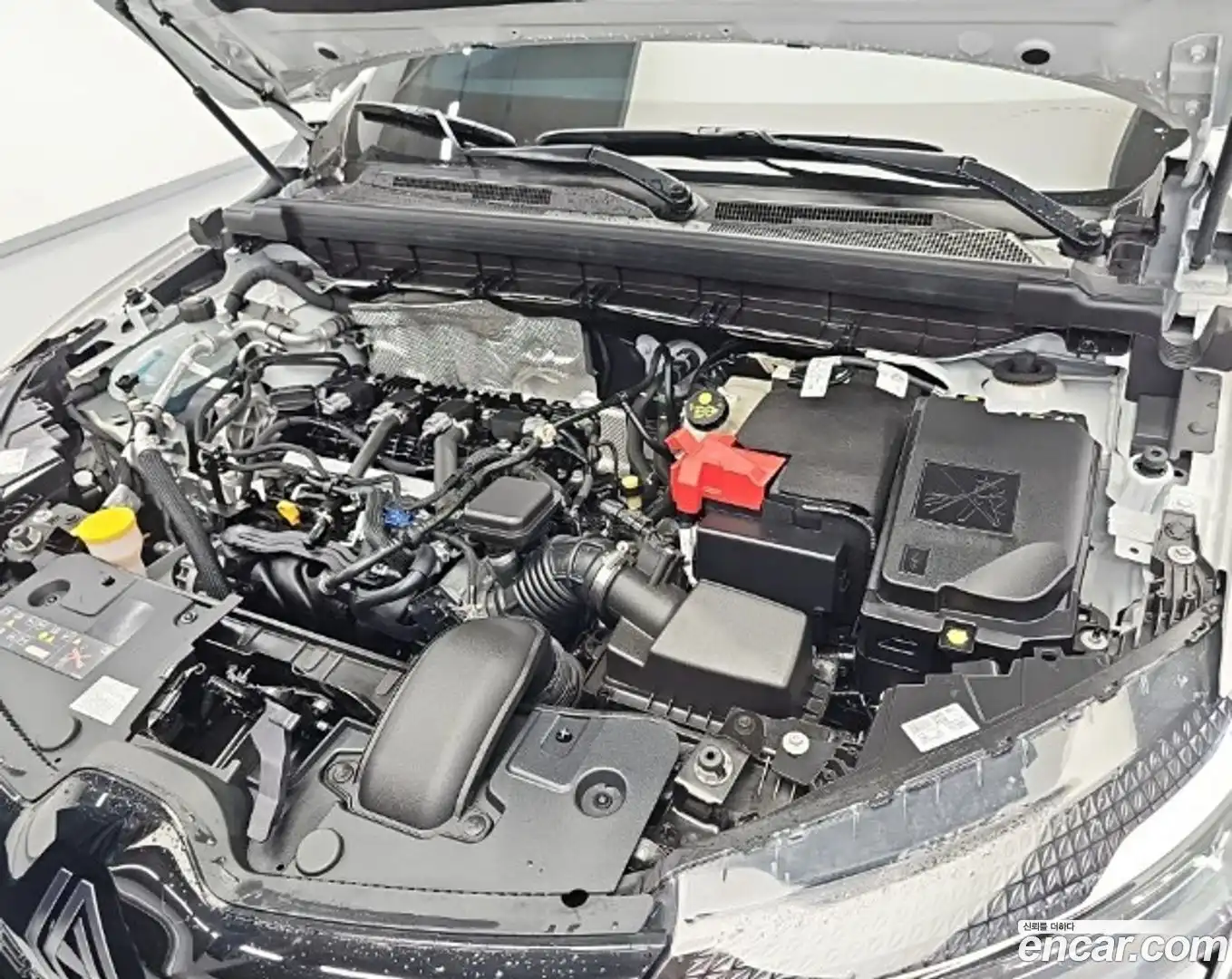 Arkana Renault Korea 2025.6-OUTER-005