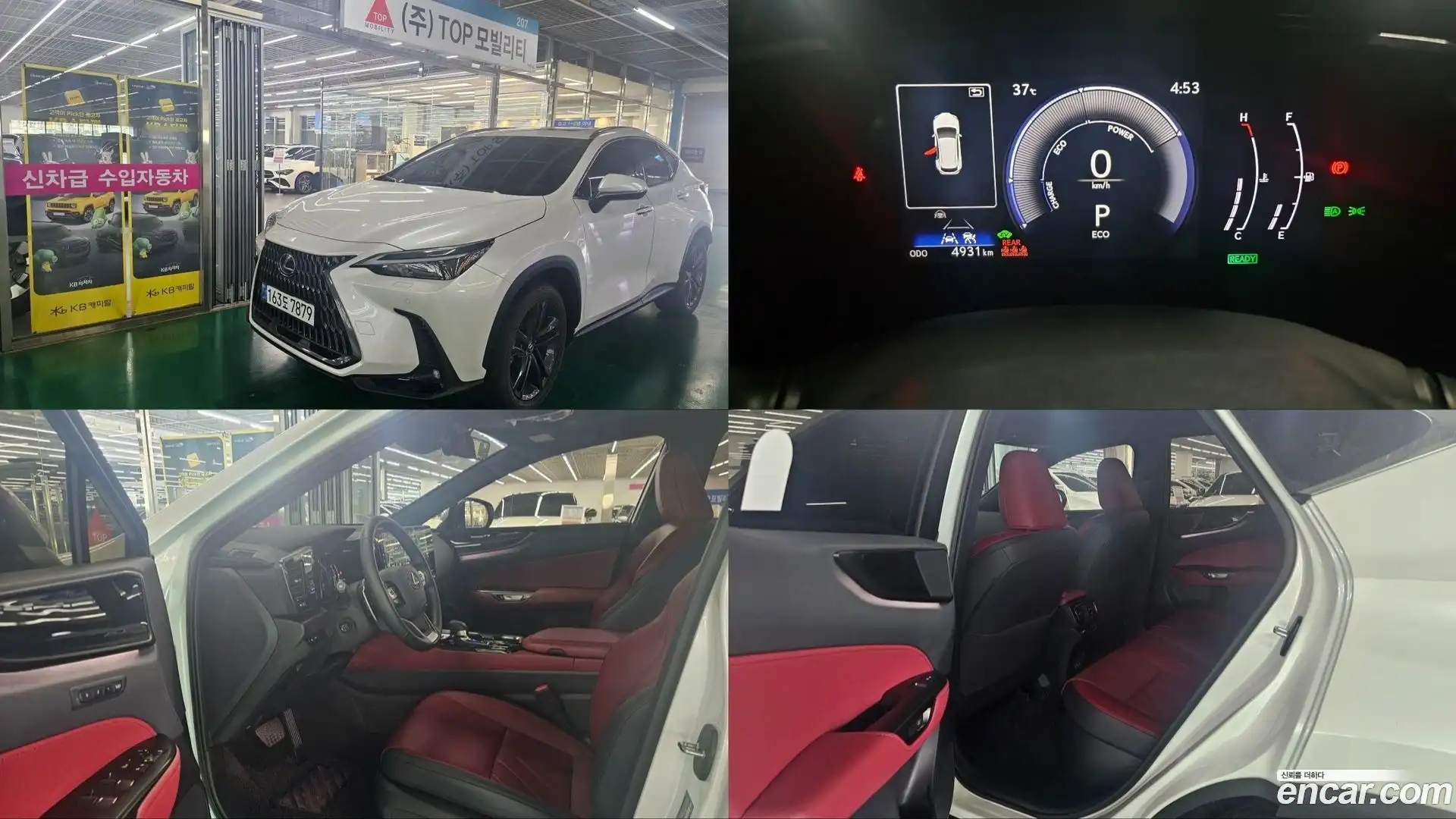 NX Lexus 2025.6-OUTER-001