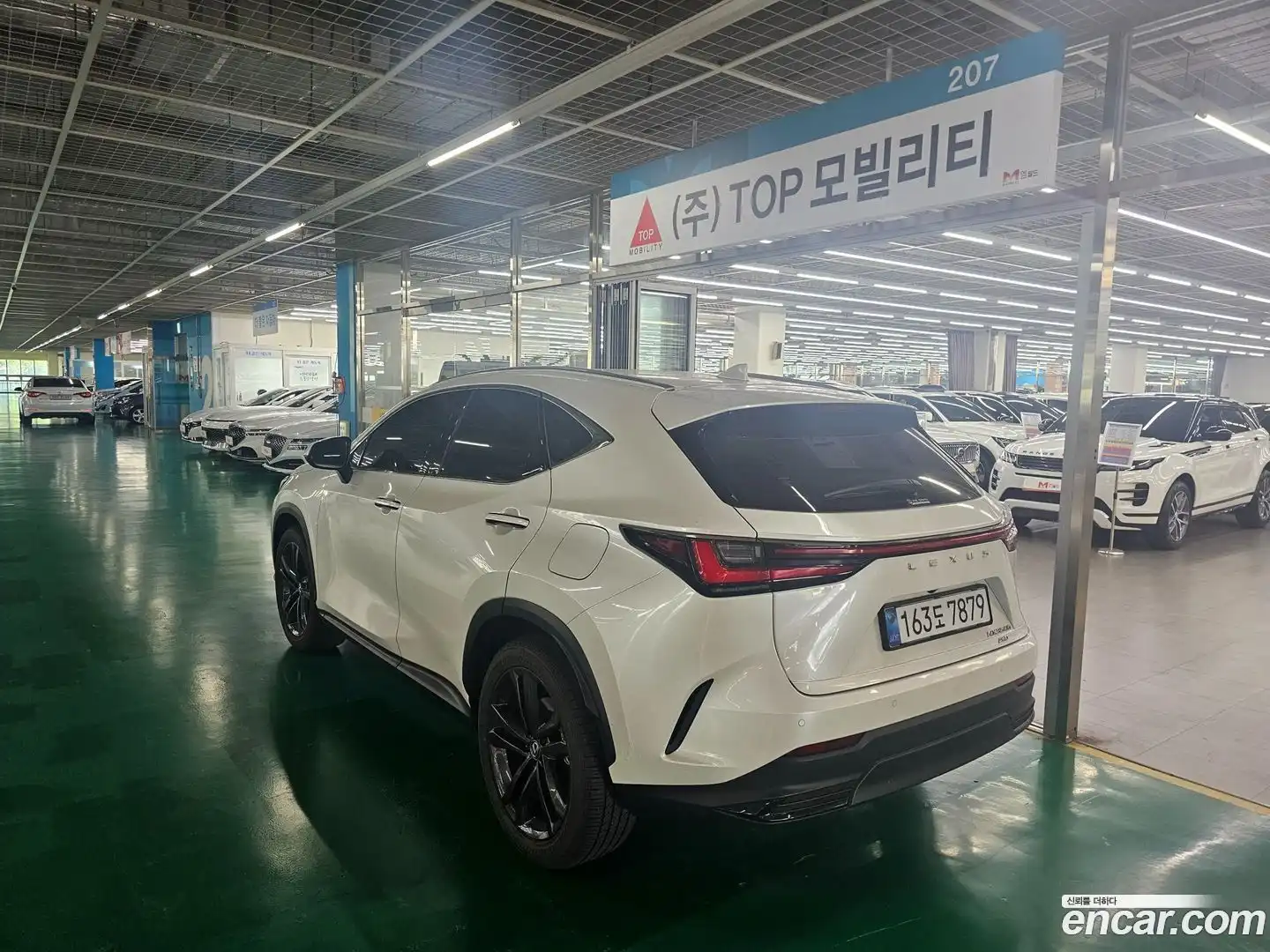 NX Lexus 2025.6-OUTER-002