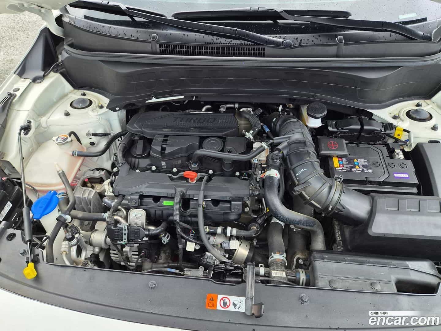 Seltos Kia 2024.5-OPTION-024