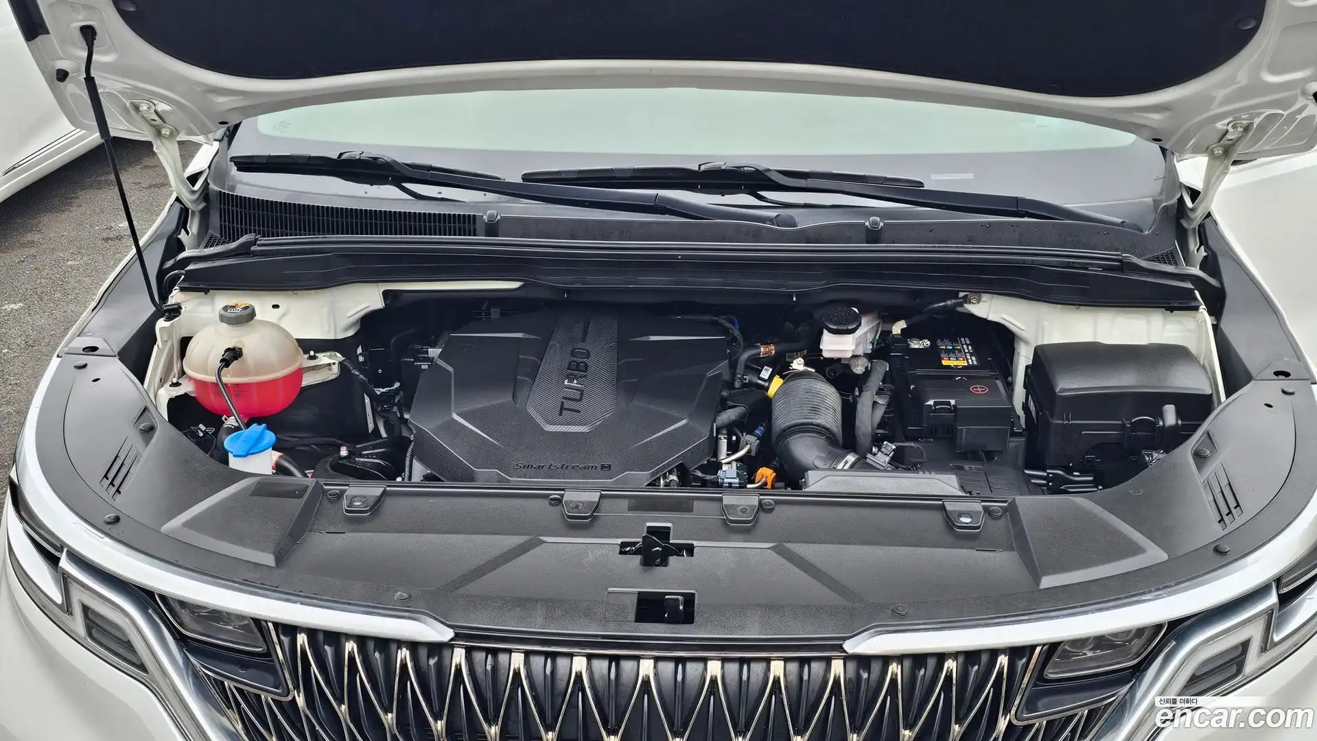Canival Kia 2021.4-OPTION-024