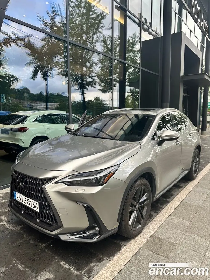 Main__Slider__Photo:NX Lexus 2024.4-0