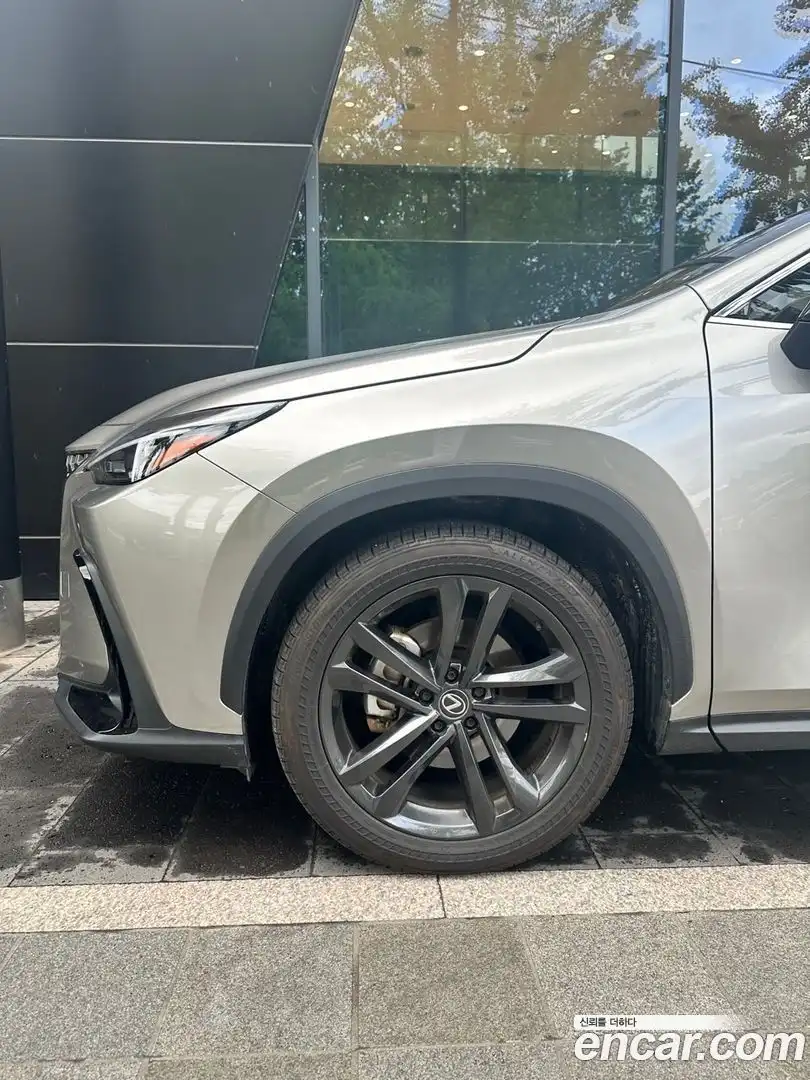 NX Lexus 2024.4-OUTER-002