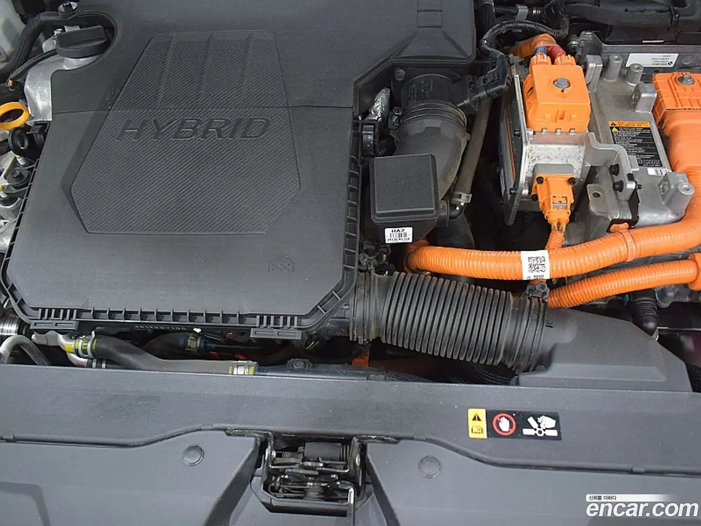 AVANTE Hyundai 2023.1-OPTION-018