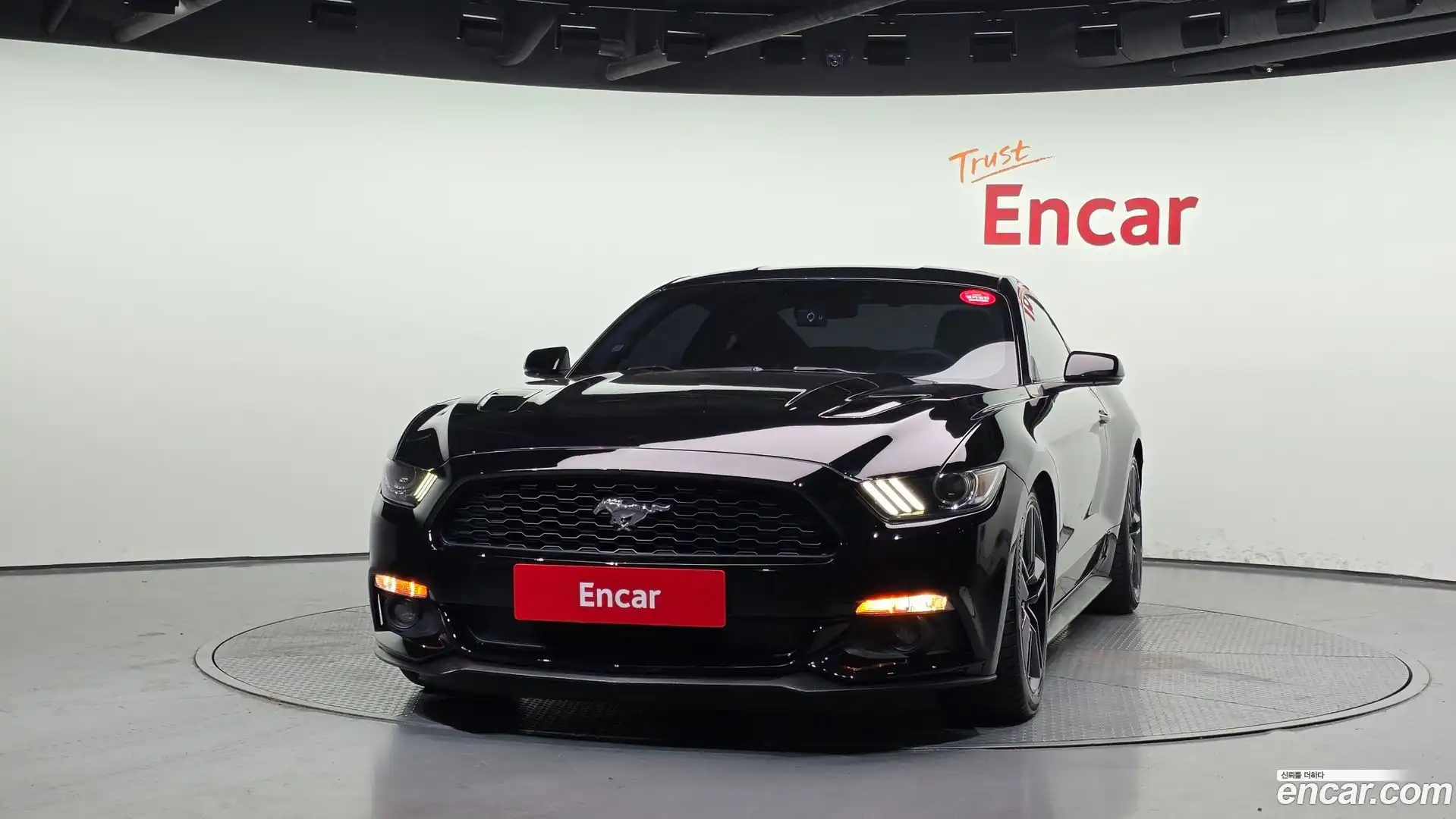 Mustang Ford 2016.0-OUTER-003