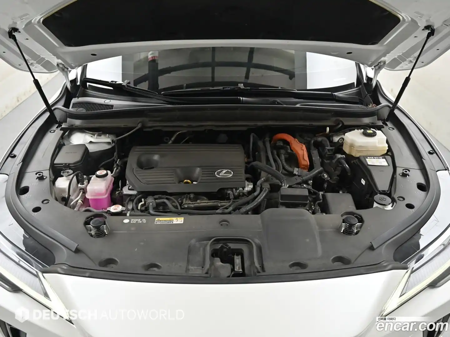 RX Lexus 2024.5-OUTER-006
