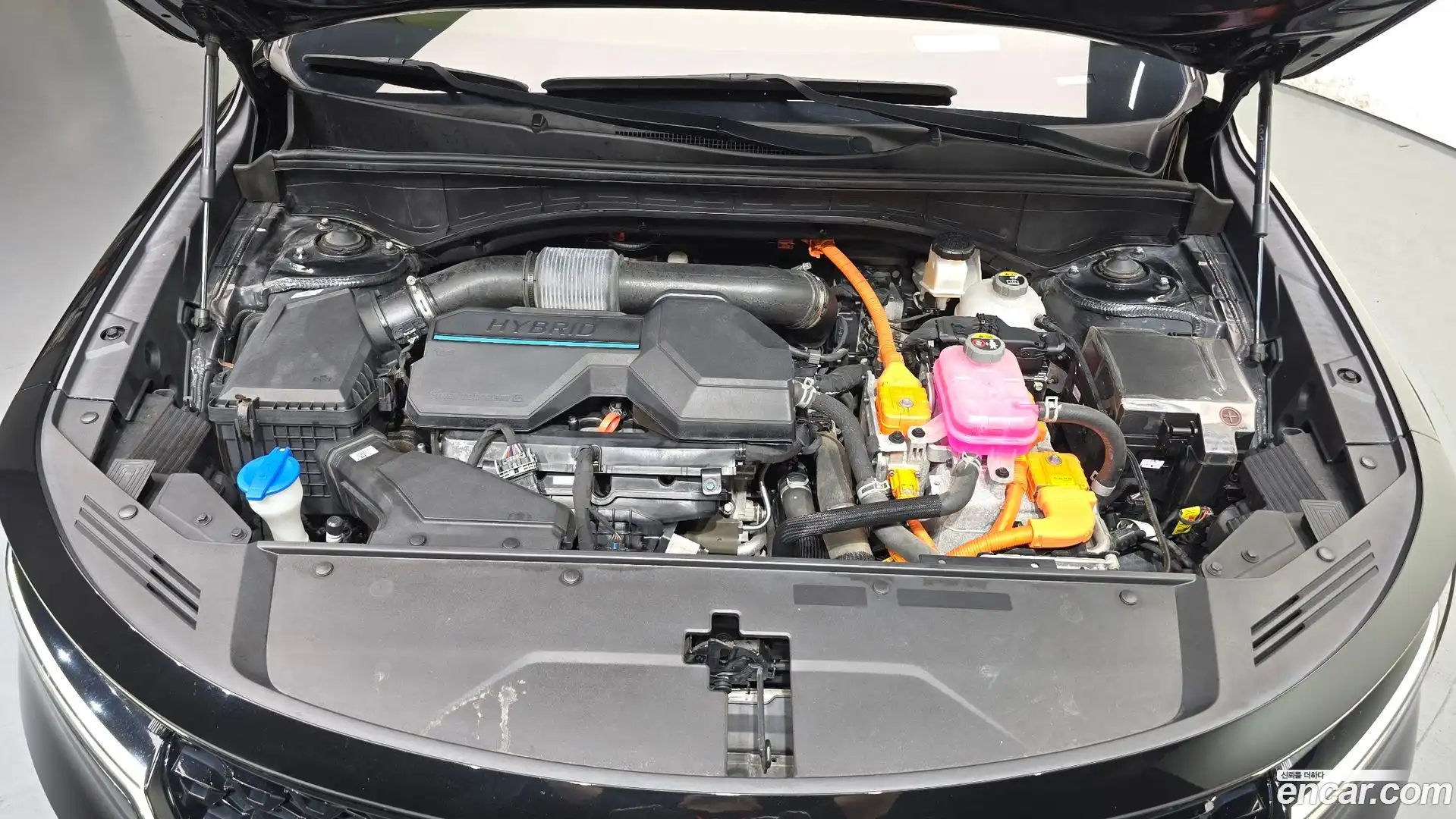 Sorento Kia 2021.9-OUTER-006