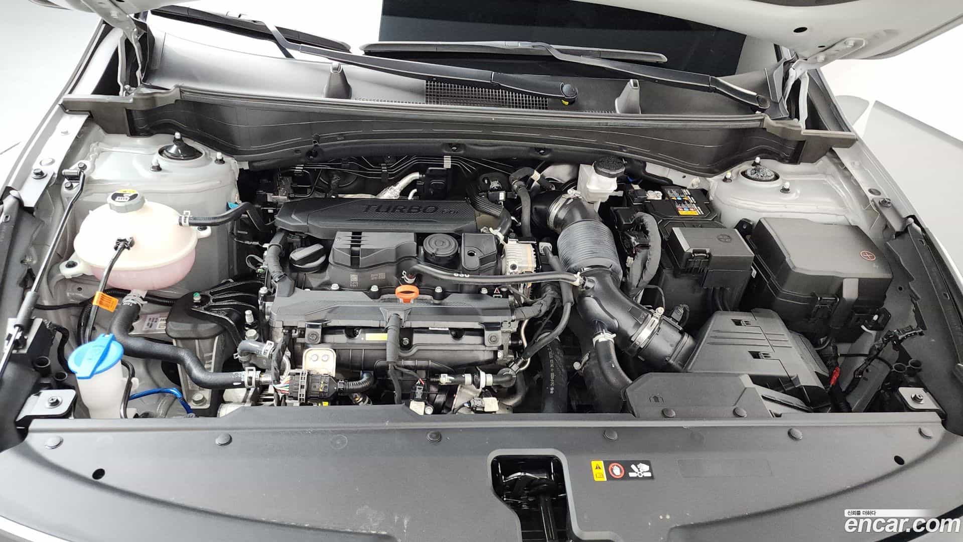 Sportage Kia 2024.11-OUTER-006