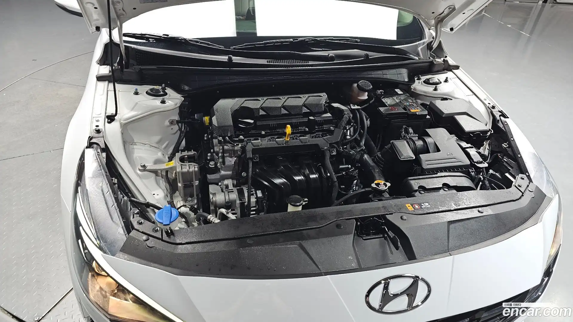 AVANTE Hyundai 2022.6-OUTER-006