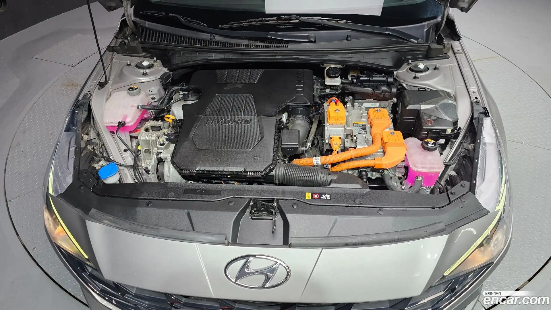 AVANTE Hyundai 2022.5-OUTER-006