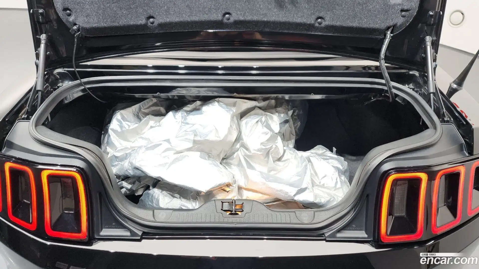 Mustang Ford 2013.5-OPTION-024