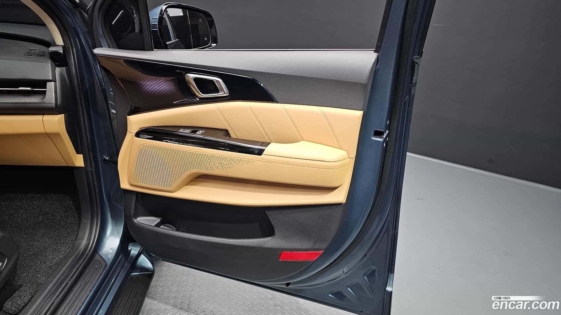 Canival Kia 2021.6-OPTION-040
