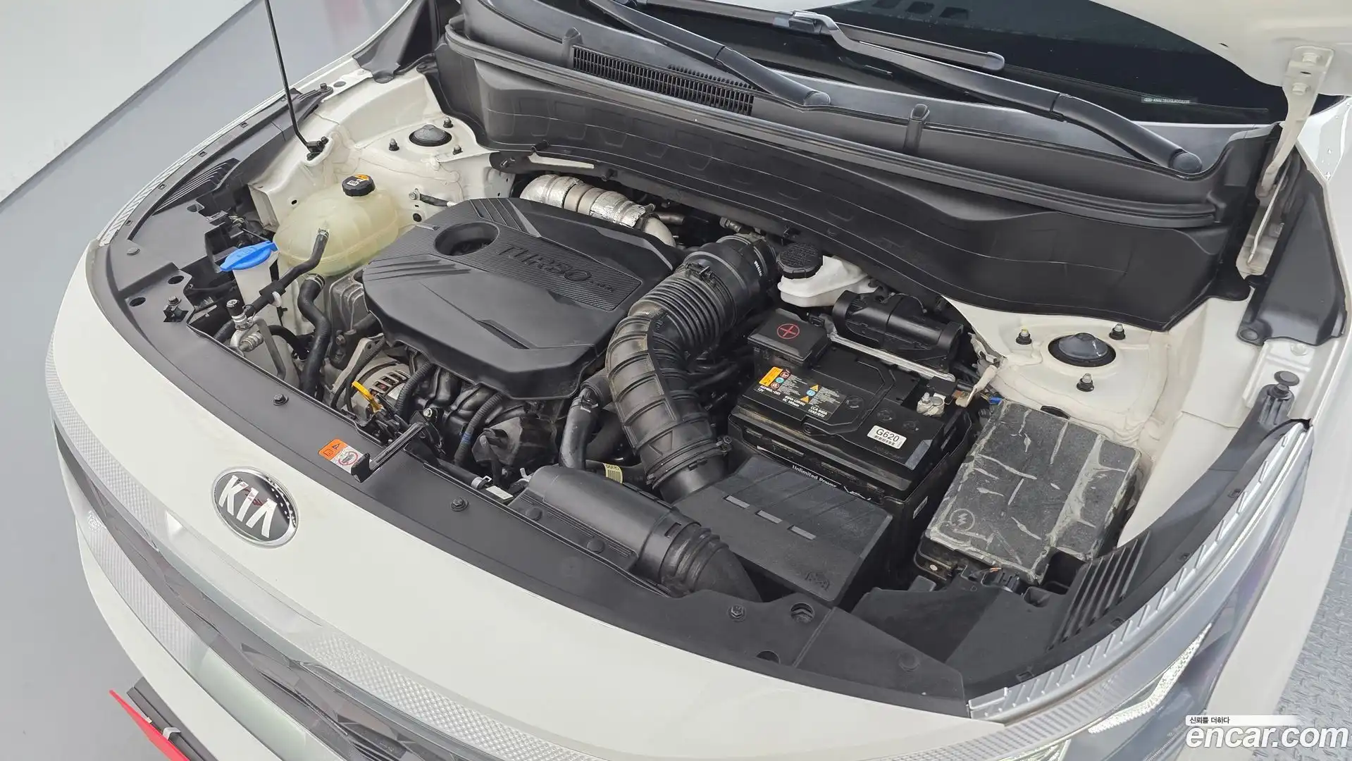 Seltos Kia 2019.6-OUTER-006