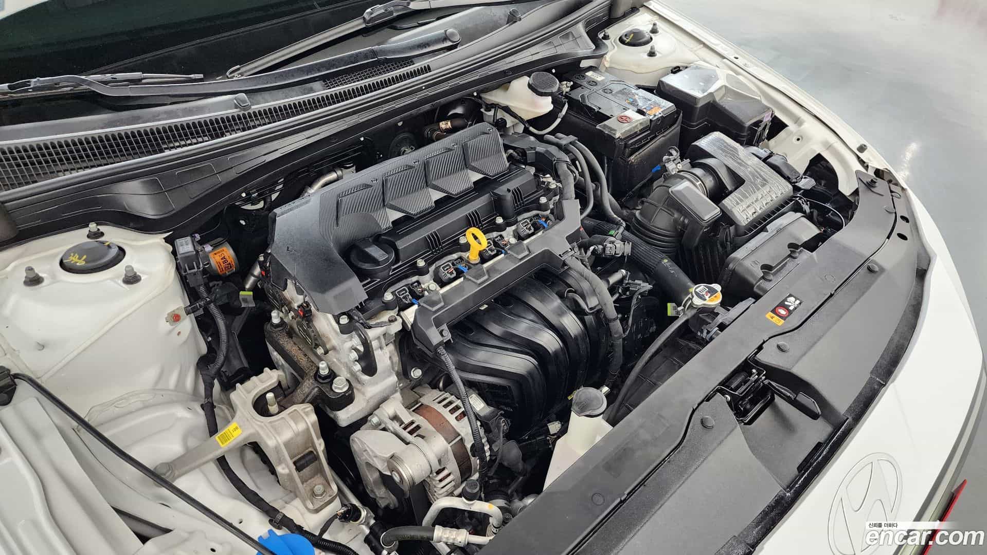AVANTE Hyundai 2023.6-OUTER-006