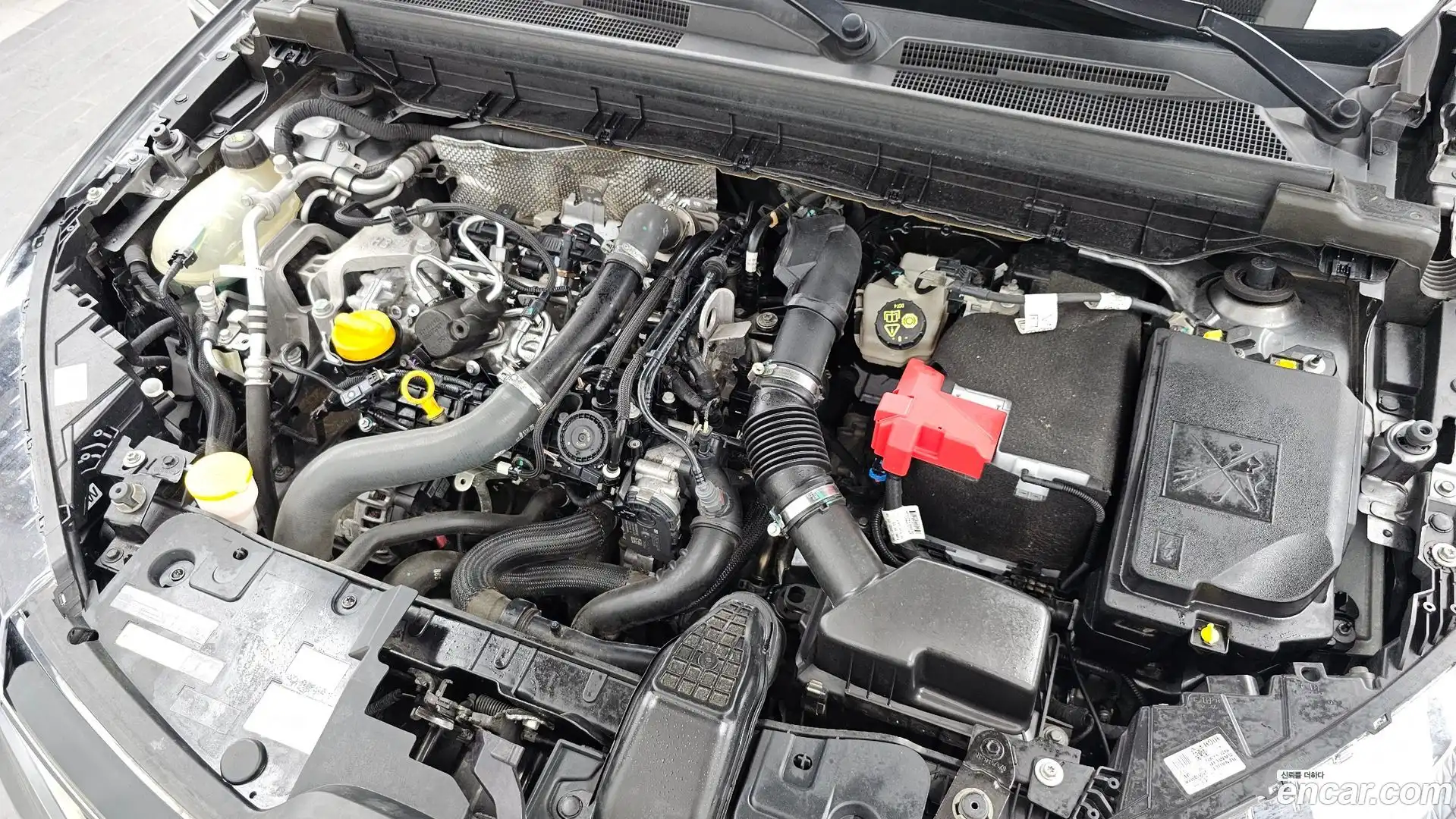 XM3 Renault Korea 2020.9-OUTER-006