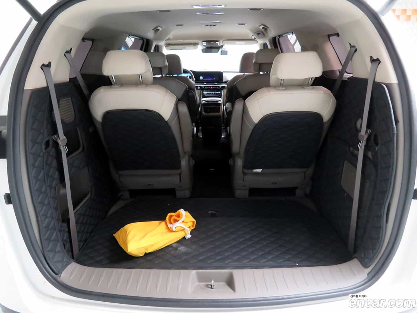 Canival Kia 2020.8-OPTION-021