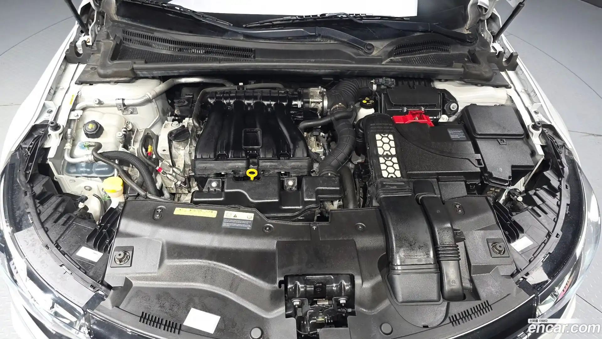 SM6 Renault Korea 2022.6-OUTER-006