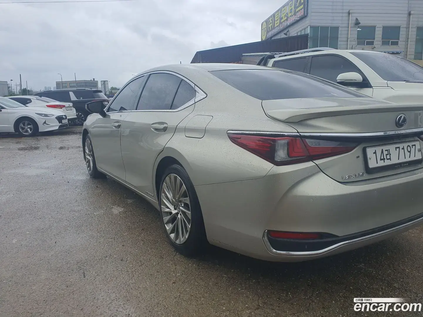 Main__Slider__Photo:ES Lexus 2019.3-1